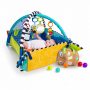 BABY EINSTEIN Palestrina journey of discovery BABY EINSTEIN Palestrina journey of discovery
