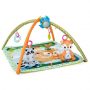 Chicco Tappeto con archi Foresta Magica Chicco Tappeto con archi Foresta Magica