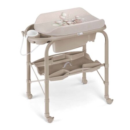 Cam Bagnetto Cambio 261