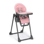 Cam Seggiolone Pappananna Icon 257