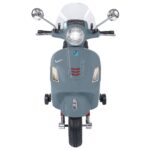 Globo Vespa GTS Sport Grigia