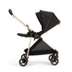 Nuna Passeggino IXXA Riveted Rose