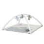 Foppapedretti Palestrina Trainer Dolcestella Foppapedretti Palestrina Trainer Dolcestella
