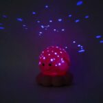 Cloud b Luce Notturna Polipo Pink
