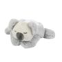 Nattou Proiettore Luce Notturna Koala Grigio Nattou Proiettore Luce Notturna Koala Grigio
