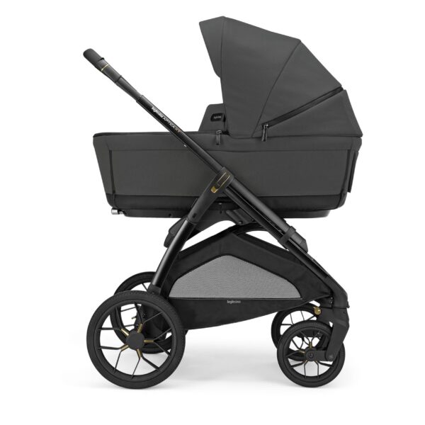 Inglesina Trio Aptica XT Darwin Magnet Grey