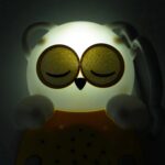 Cloud b Sweet Dreamz On the Go™ Owl
