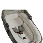Joie Passeggino Finiti™ Evergreen