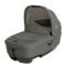 Joie Passeggino Finiti™ Evergreen
