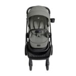 Joie Passeggino Finiti™ Evergreen