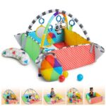 Bright Starts Palestrina COLOR Baby Einstein 5-in-1