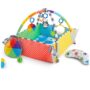 Bright Starts Palestrina COLOR Baby Einstein 5-in-1 Bright Starts Palestrina COLOR Baby Einstein 5-in-1