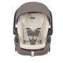 Inglesina Summercover Darwin Infant Recline EVO Inglesina Summercover Darwin Infant Recline EVO