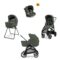 Inglesina Trio Aptica Darwin Ivy Green