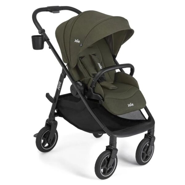 Joie Passeggino Versadrift Fern
