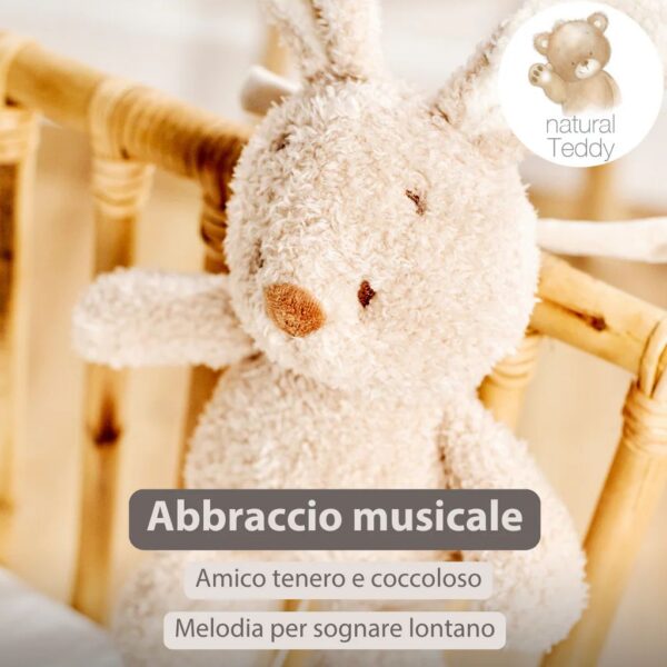 Nattou Mini Carillon Coniglio Teddy