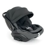 Inglesina Darwin Infant Recline EVO Canyon Grey