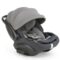 Inglesina Darwin Infant Recline EVO Garage Grey