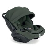 Inglesina Darwin Infant Recline EVO Ivy Green