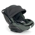 Inglesina Darwin Infant Recline EVO Taiga Green