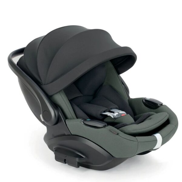 Inglesina Darwin Infant Recline EVO Taiga Green