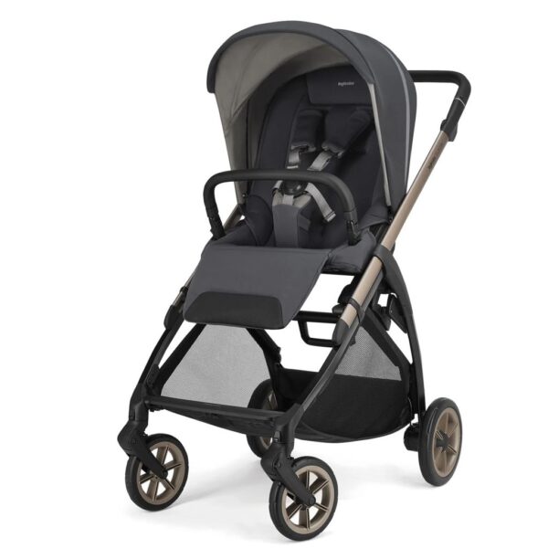 Inglesina Electa Garage Kinderwagen Grau