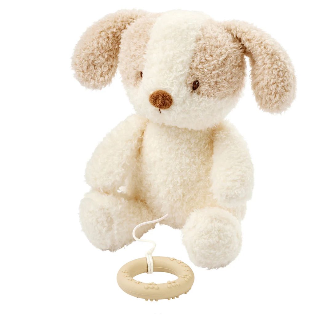 856362 Nattou Carillon Teddy il Cane