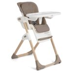 Joie Mimzy™ Recline Strata Dune